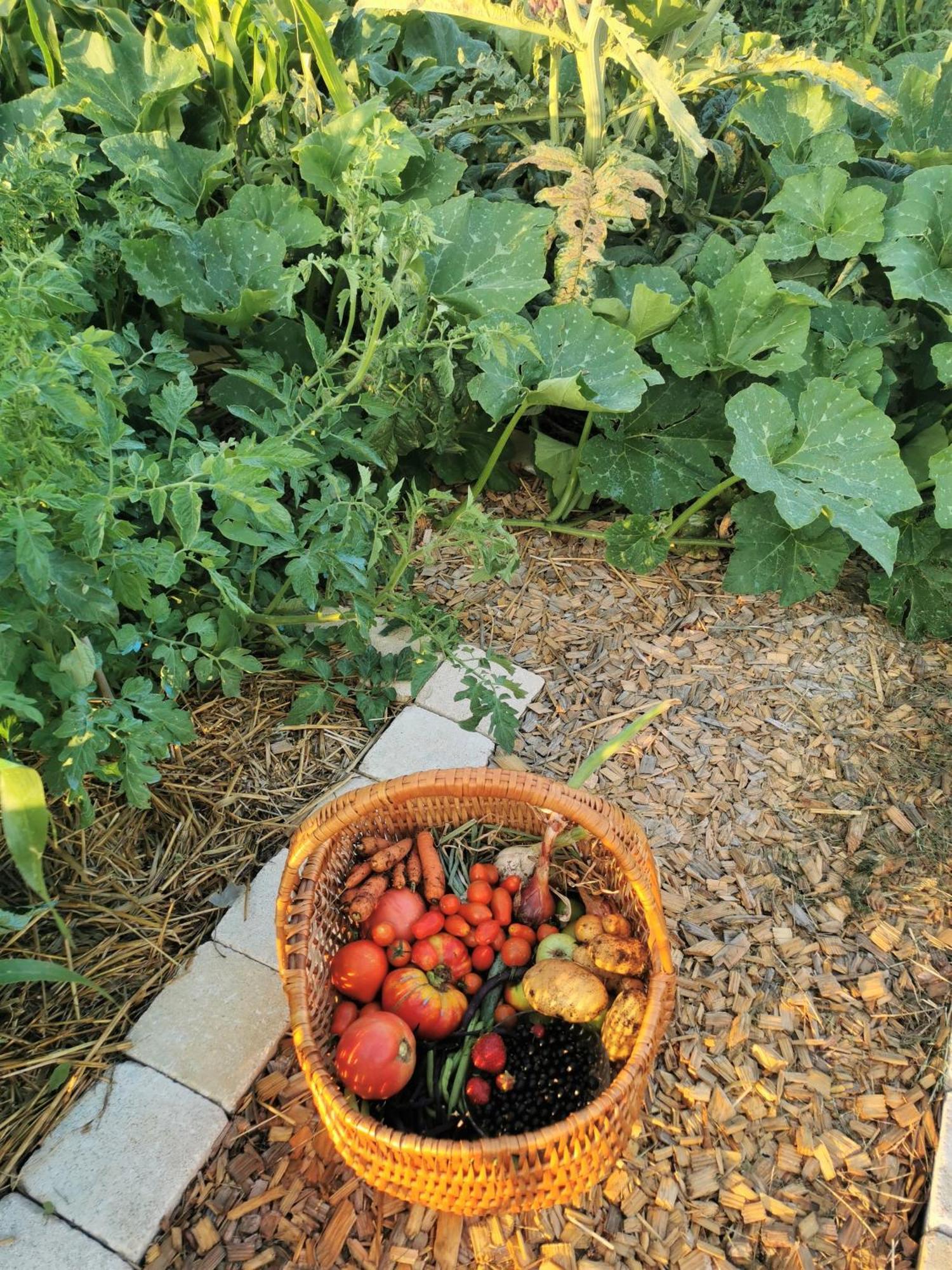 לינה וארוחת בוקר Prissé Au Jardin Des Deux Roches מראה חיצוני תמונה